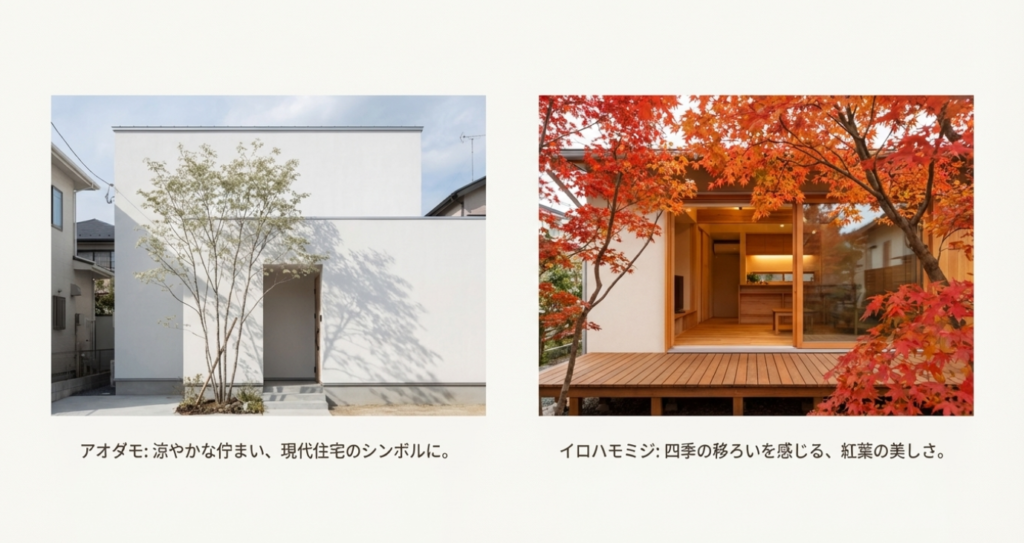 画像タイトル: おすすめ庭木_アオダモとイロハモミジ

代替テキスト: 積水ハウス5本の樹おすすめ樹種。涼やかな佇まいのアオダモと、紅葉が美しいイロハモミジの植栽実例。